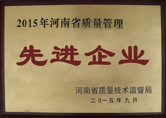 2015年河南先进企业